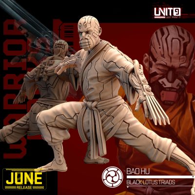 Bao Hu - Black Lotus Triad Warrior Monks - 32mm Scale - Unit9 Miniatures